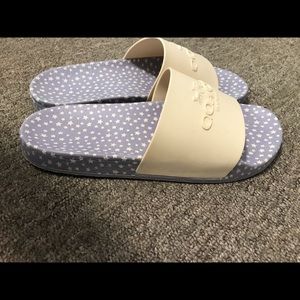 Coach slides